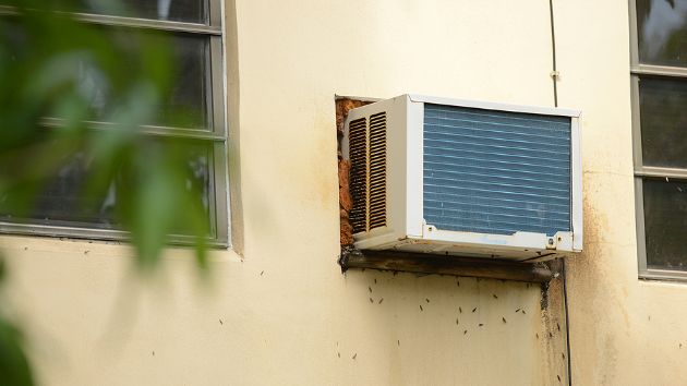 Bugs In Your AC? Here’s How to Stop Them Bugs In Your AC? Here’s How to Stop Them